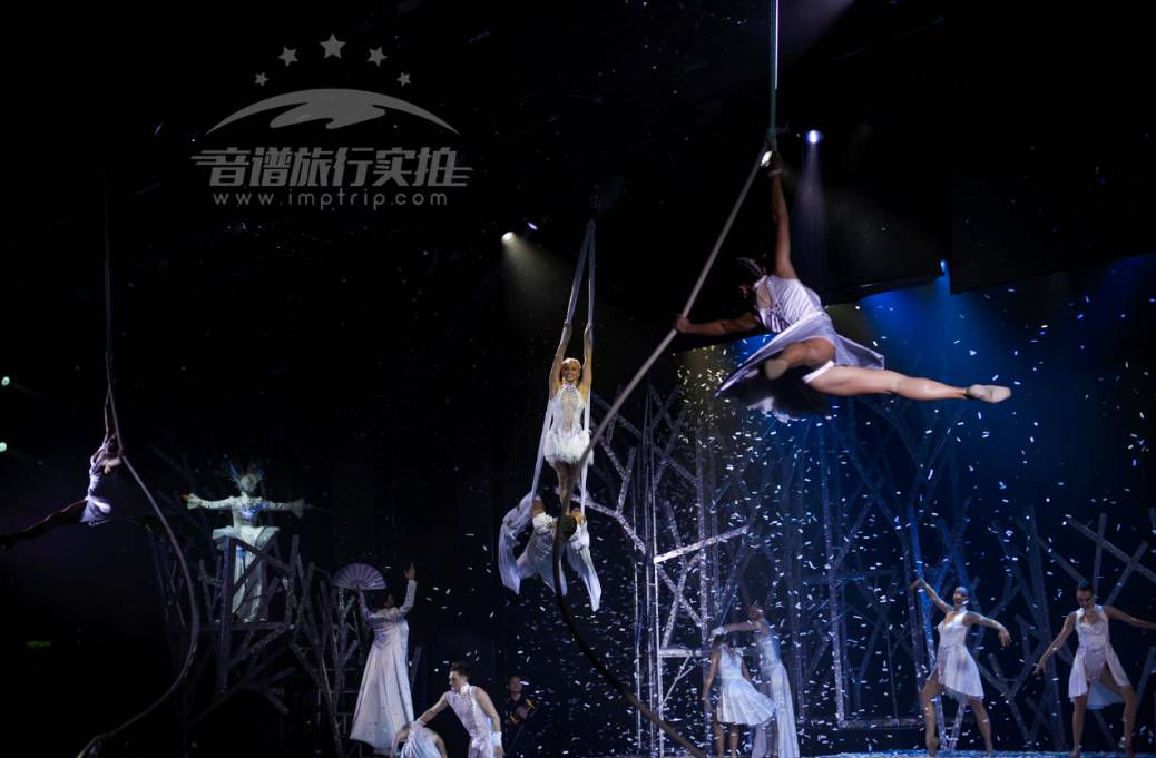 一夜卖空！这家邮轮火爆到疯抢售罄，背后原因到底是什么？（附最新收费，文末有福利！）