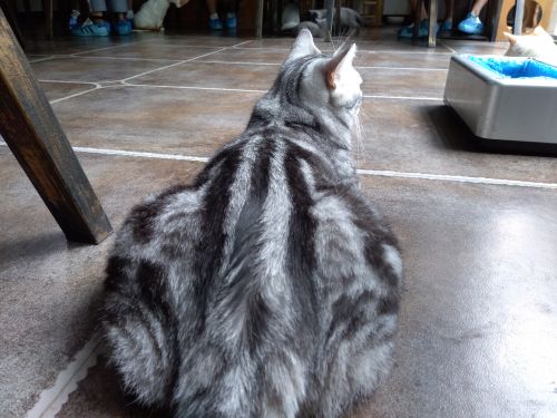 华为畅享7深度评测,华为手机畅享7评测