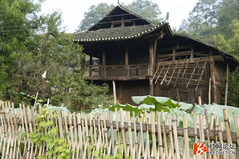 传说中的世外桃源：走进千年土家长寿村