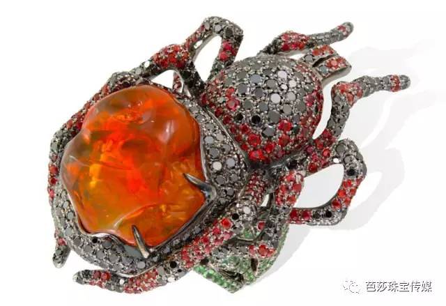 欧泊失去光彩了什么样,欧泊家族