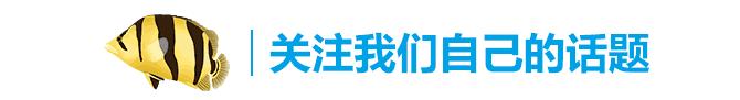 2米龙魟虎缸，23天开缸全记录