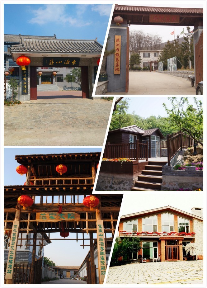 「福利来了」金普市民最喜爱的八大系列十大特色餐饮名店揭晓！快看有你喜欢的店吗？