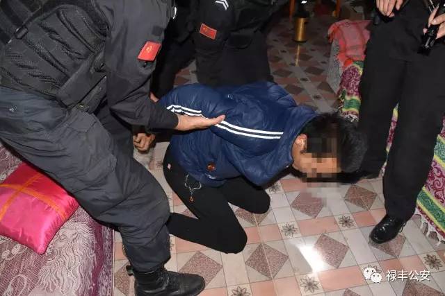 禄丰的父老乡亲们，我们需要您的客观评价！