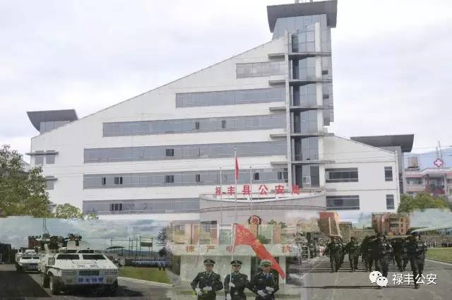 禄丰的父老乡亲们，我们需要您的客观评价！