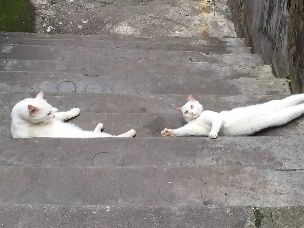 hèhè带你玩｜中国的52处世界遗产你去过哪些？刚评上的这个地方，我去了四次！