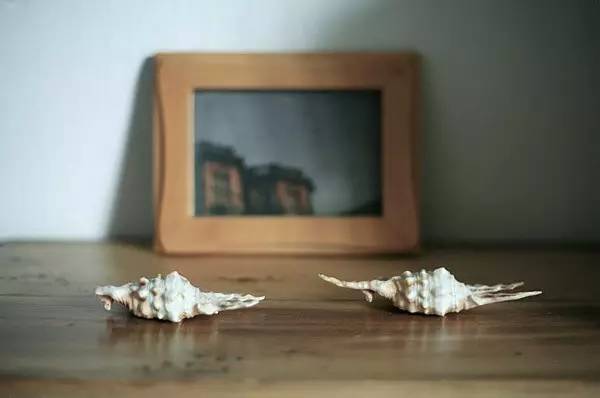 鼓浪屿申遗过程,鼓浪屿申遗40年成功了吗