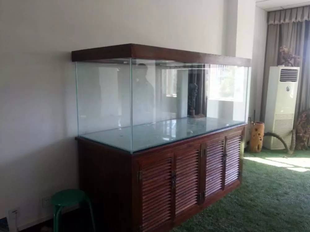 2米龙魟虎缸，23天开缸全记录