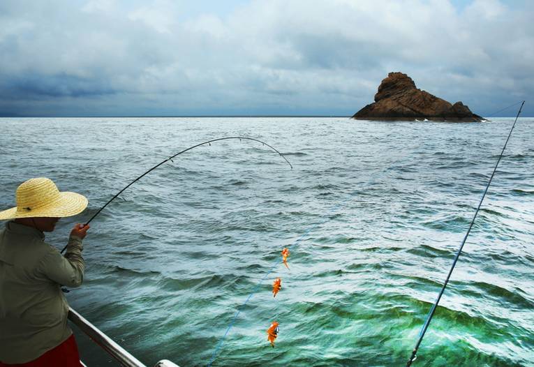佛山梦幻小岛在哪,佛山南海梦幻岛