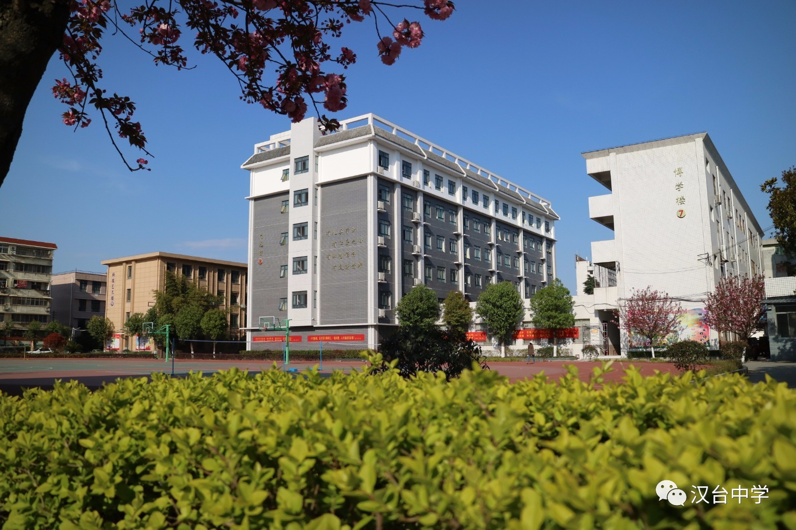 欢迎报考陕西省汉台中学,汉台中学优秀校友