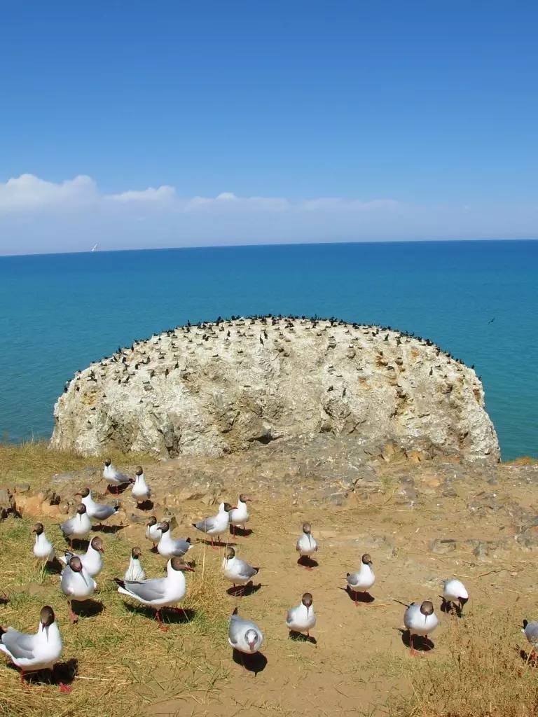 青海湖最省钱的攻略,青海湖最全攻略