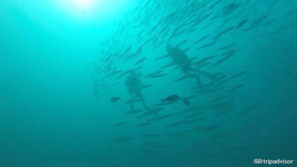 最适合度假的海岛小众,最适合度假的小众海岛