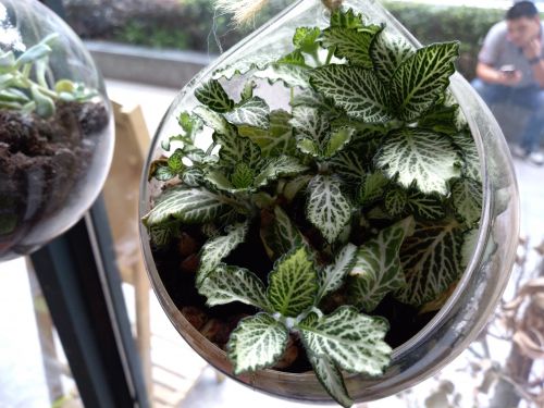 华为畅享7深度评测,华为手机畅享7评测