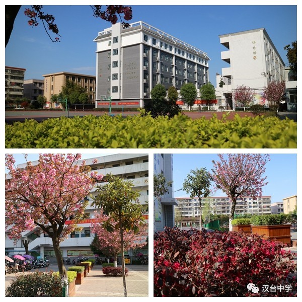 欢迎报考陕西省汉台中学,汉台中学优秀校友