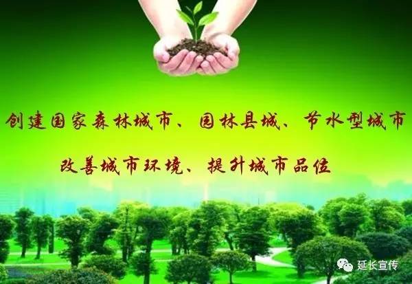 ac米兰青少年足球队,ac米兰体彩今年开过几次单关