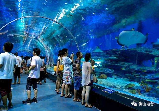 不是段子！非洲小哥竟然在中国被晒黑了！入伏以来，佛山的“热”情已彻底被激活……