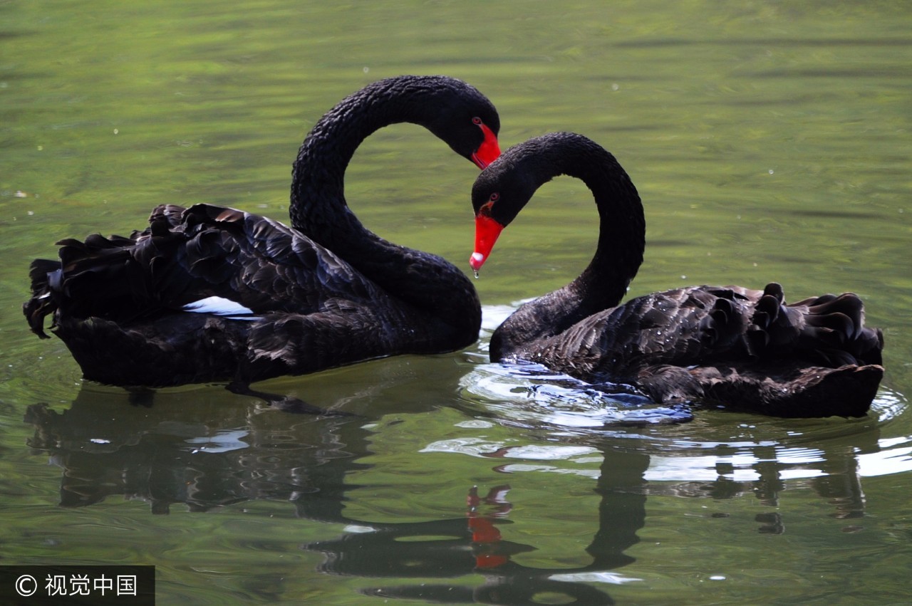 上海附近的免费凉快的地方,上海哪里可以免费乘凉