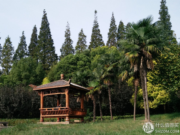 vivox5max值不值入手,vivox5max是最薄的手机吗