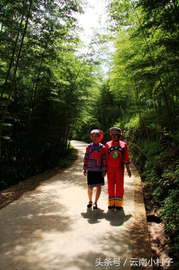 云南玉溪峨山彝人谷万亩竹海竹炭,彝人谷竹海攻略