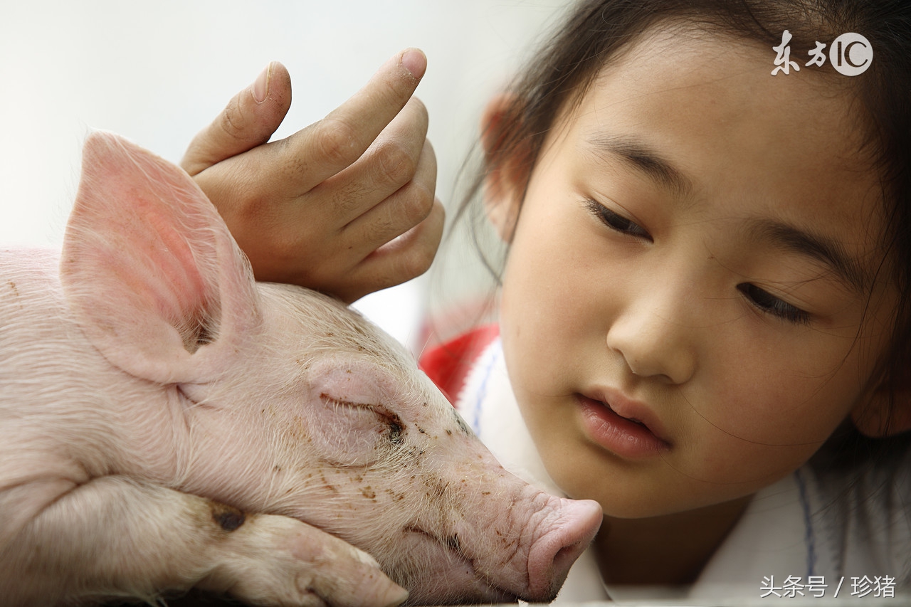 儿童破伤风诊疗指南,破伤风可以使用中兽医疗法吗