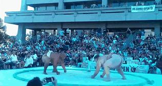 无良商家宣传图片,无良商家发的货与实物不符