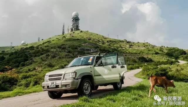 元朗最值得去的地方,元朗特色