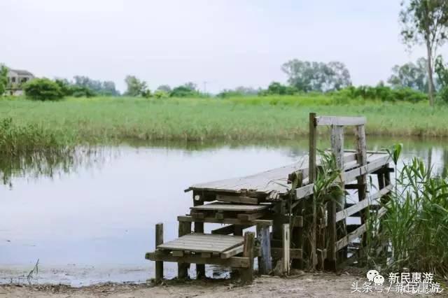 元朗最值得去的地方,元朗特色