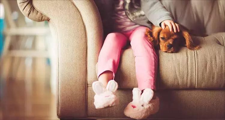 产值5000万全屋定制,营收过亿的全屋定制工厂有多少家