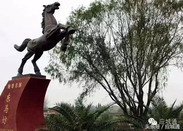 如果应城变成王者荣耀，各个乡镇都是谁……太形象了！