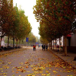 山东德州学院有望成功“申硕”,山东德州学院保洁阿姨