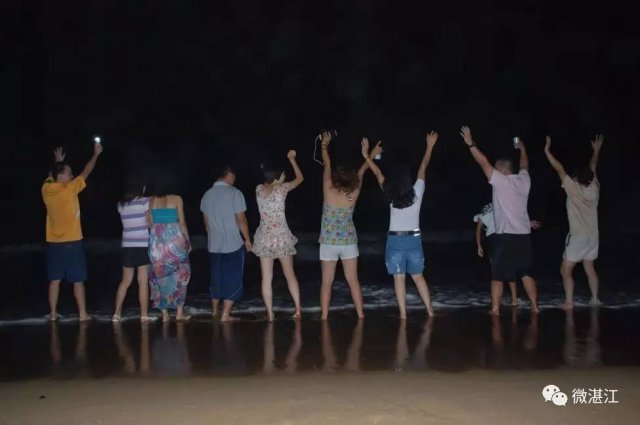 湛江自驾游露营地址,湛江市区露营野炊地点推荐