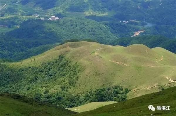 湛江自驾游露营地址,湛江市区露营野炊地点推荐