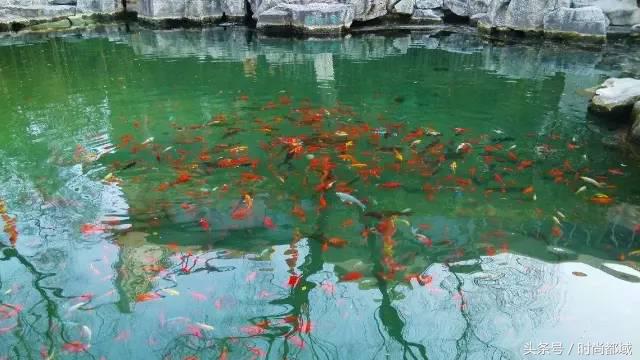 济南五龙潭公园未解之谜,济南五龙潭公园的传说