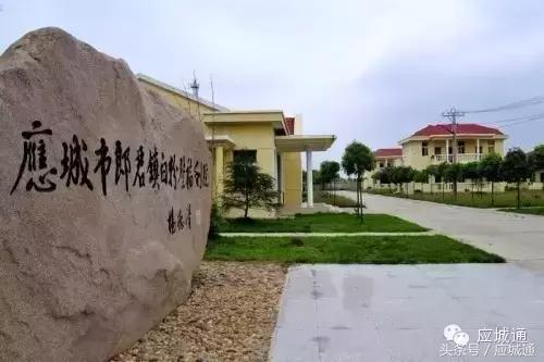 如果应城变成王者荣耀，各个乡镇都是谁……太形象了！