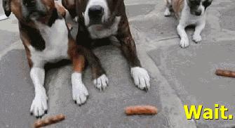 姹槦浜烘槸蹇冩満鐙楀悧,涓轰粈涔堟豹鏄熶汉閲嶆儏閲嶄箟