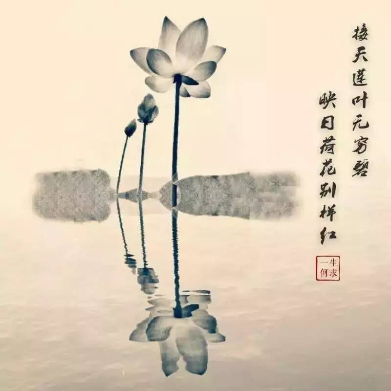 用手机拍照片的技巧,手机什么软件拍出来的照片最好看