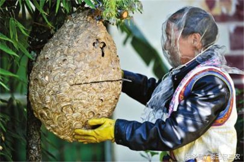 致富的新路子有哪些,有致富的门路推荐一下
