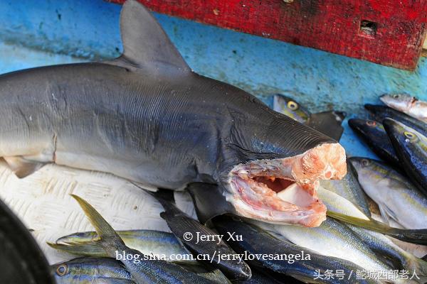 海滩捕鱼的几种方法,海边捕鱼吃海鲜视频大全