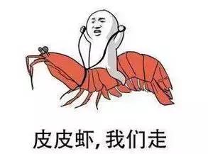 一场汇算清缴的培训多少钱,汇算清缴培训