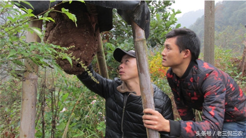 致富的新路子有哪些,有致富的门路推荐一下