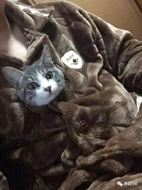 毕业青岛旅游攻略,青岛毕业旅行三日游