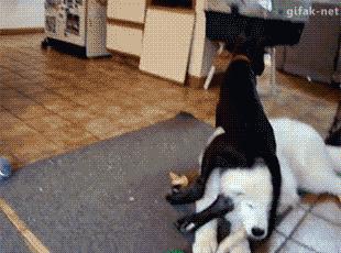 姹槦浜烘槸蹇冩満鐙楀悧,涓轰粈涔堟豹鏄熶汉閲嶆儏閲嶄箟