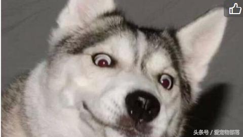 姹槦浜烘槸蹇冩満鐙楀悧,涓轰粈涔堟豹鏄熶汉閲嶆儏閲嶄箟