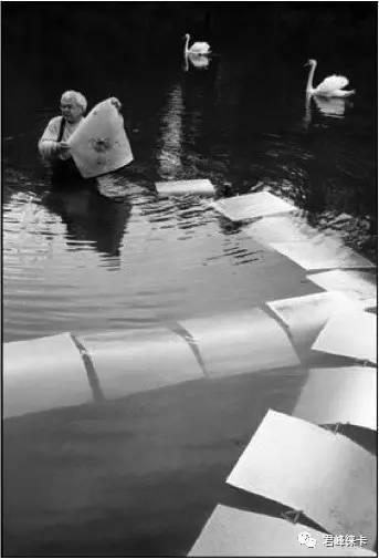 7种构图法,曲线构图十大技巧