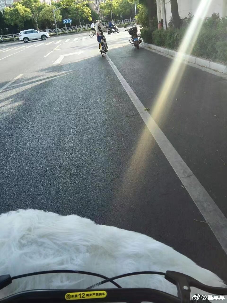 让二哈听话,让二哈自己在家待一天