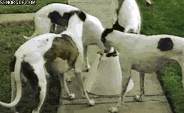 姹槦浜烘槸蹇冩満鐙楀悧,涓轰粈涔堟豹鏄熶汉閲嶆儏閲嶄箟