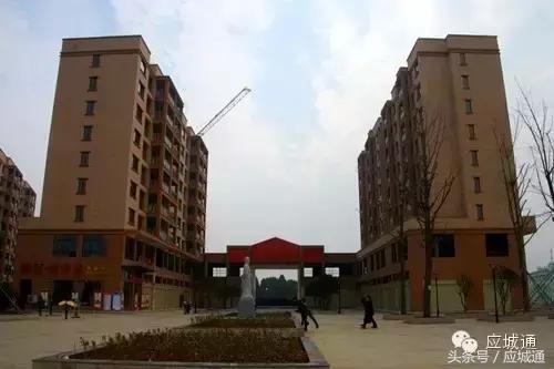 如果应城变成王者荣耀，各个乡镇都是谁……太形象了！