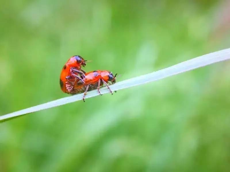 用手机拍照片的技巧,手机什么软件拍出来的照片最好看