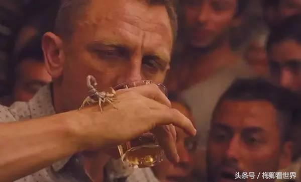 品味生命之美歌曲,生命之水感悟