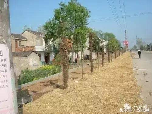 如果应城变成王者荣耀，各个乡镇都是谁……太形象了！