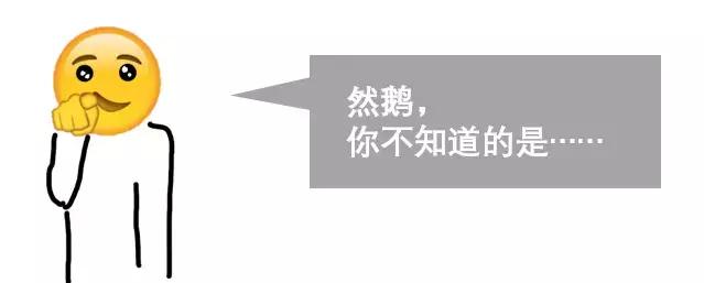 淘宝网发展历程给我们的启示,淘宝网的发展历程和现状